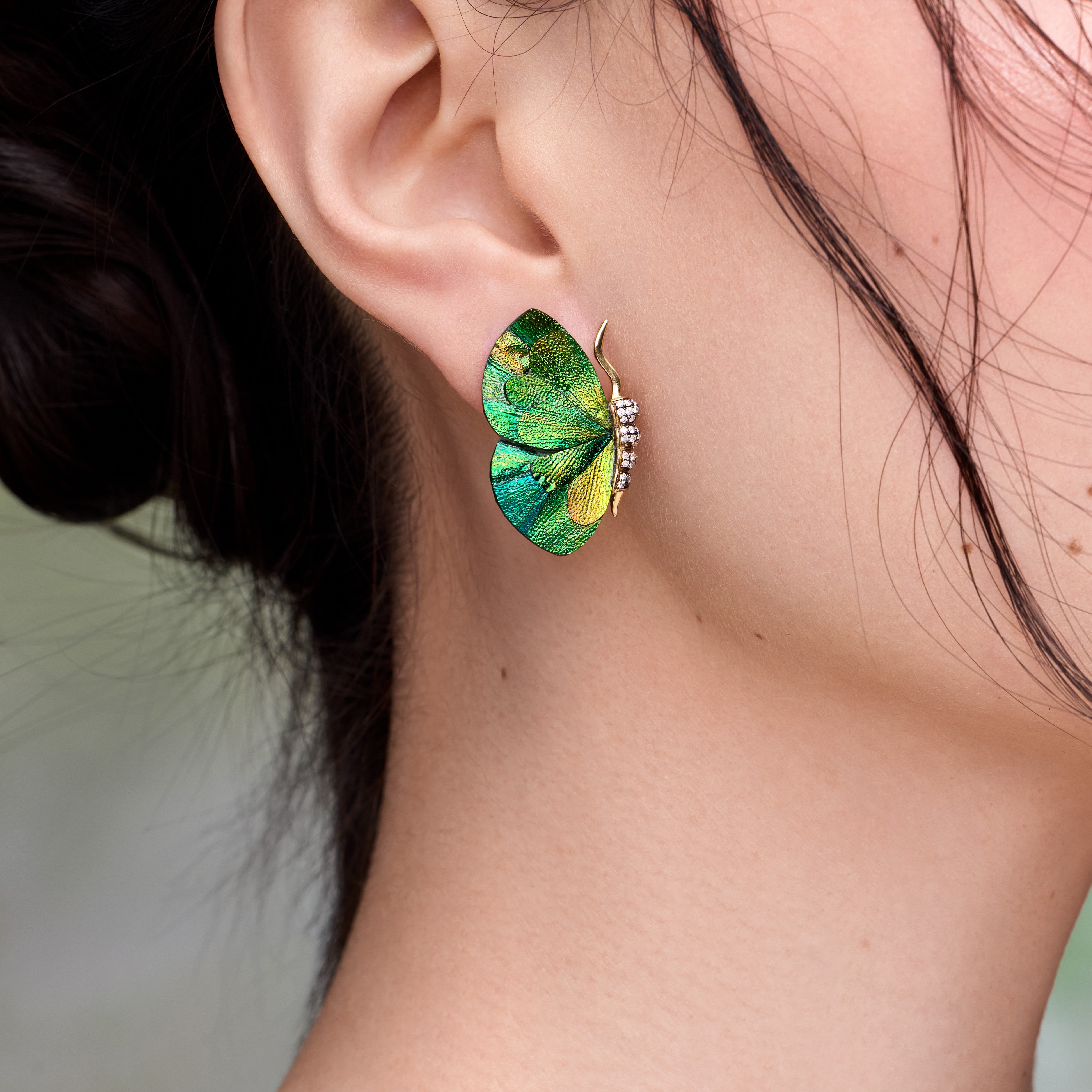 Miniature butterfly earrings with beetle wing application in yellow gold