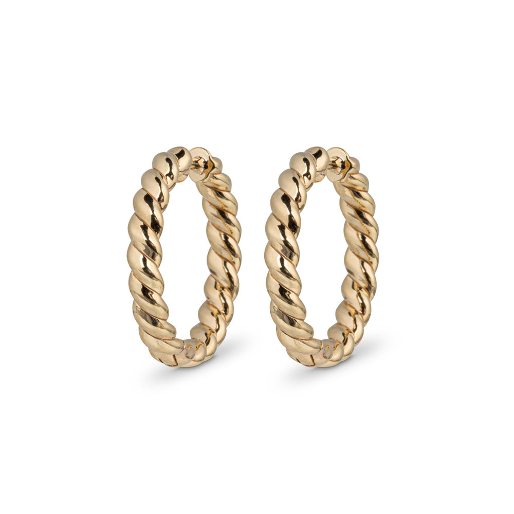 Twisted Rope Hoops