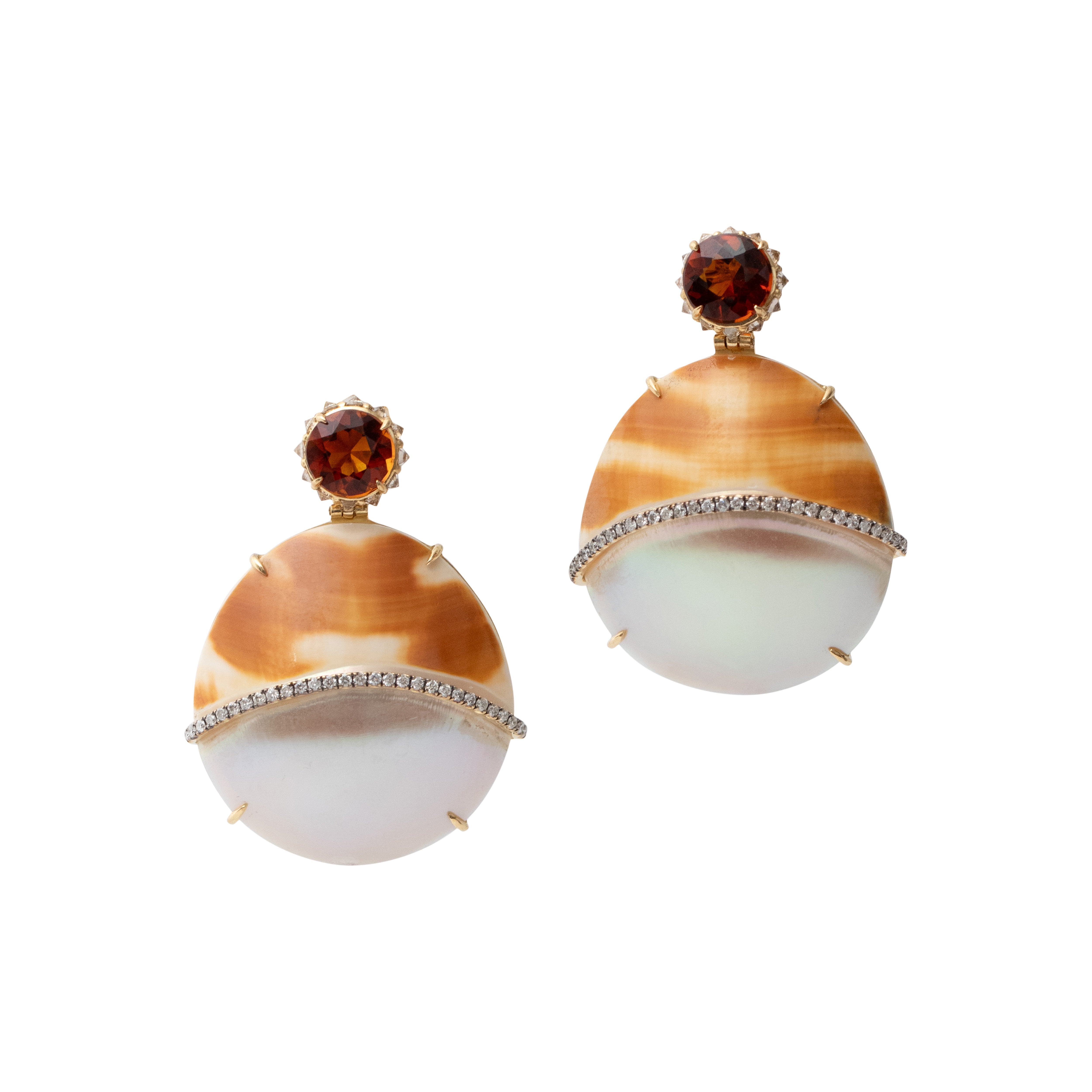 Nautilus shell earrings