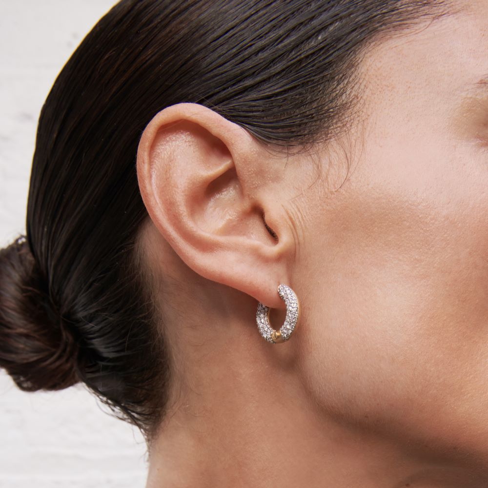 Arco Hoop Earrings