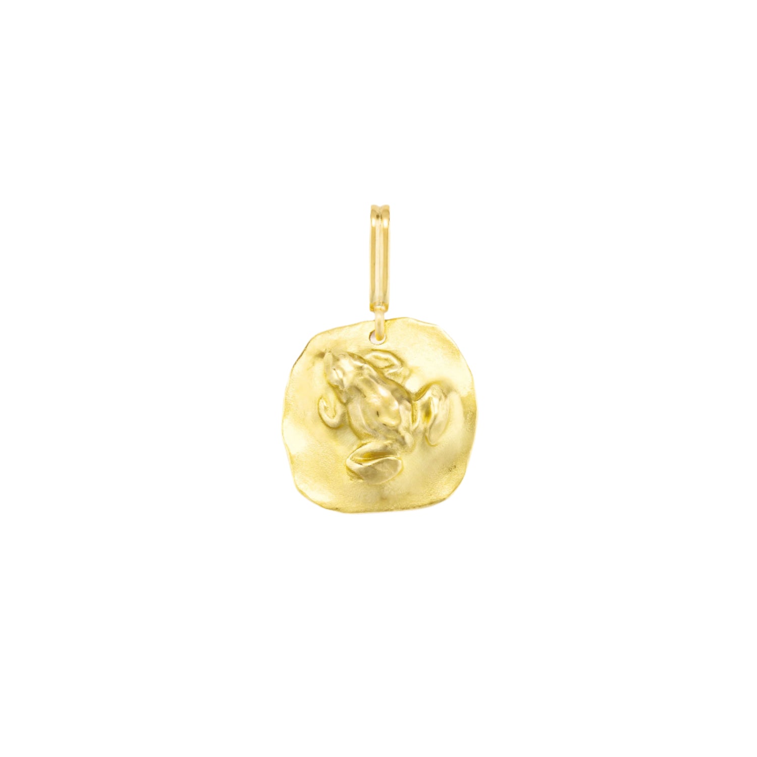 Frog Medal Charm