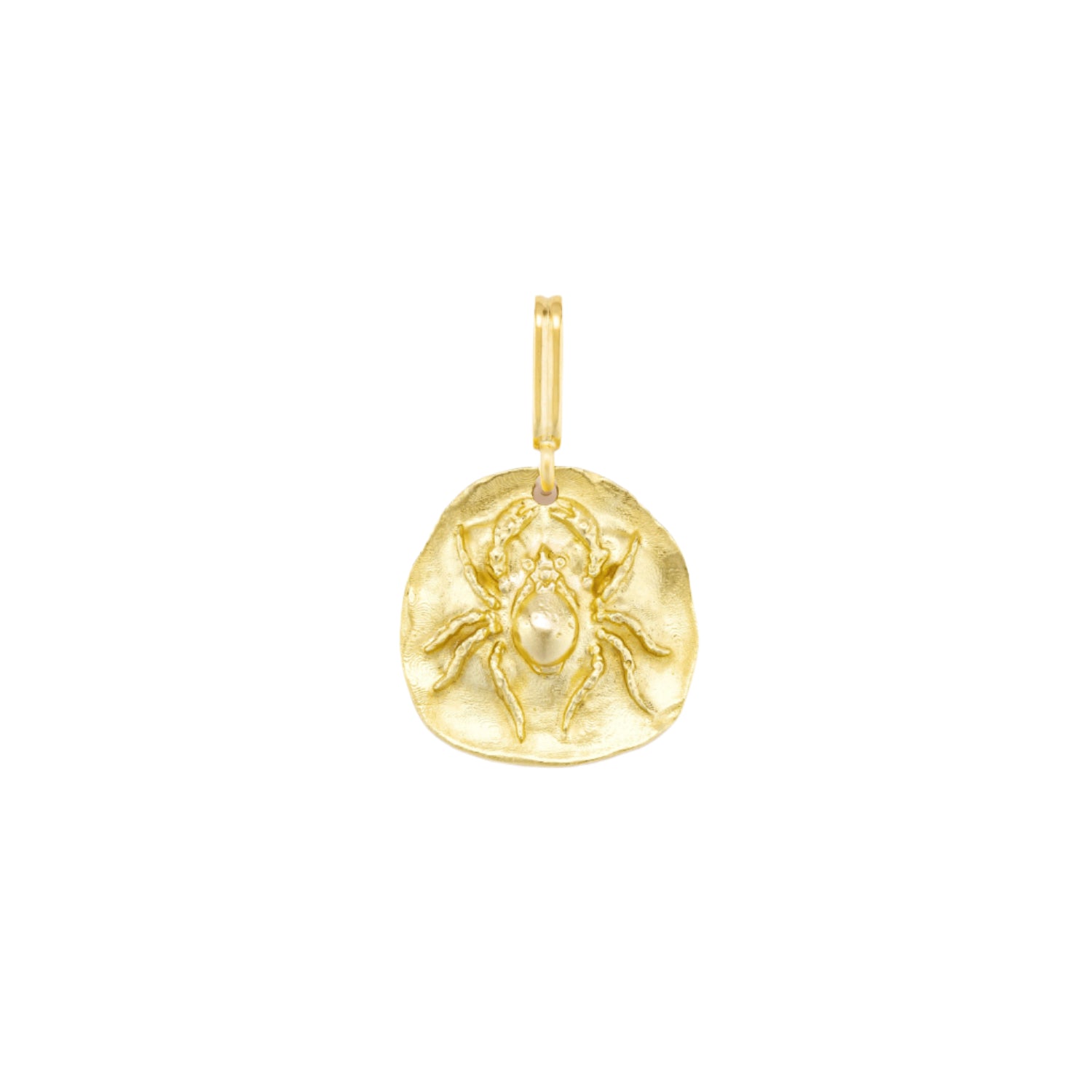 Spider Medal Charm