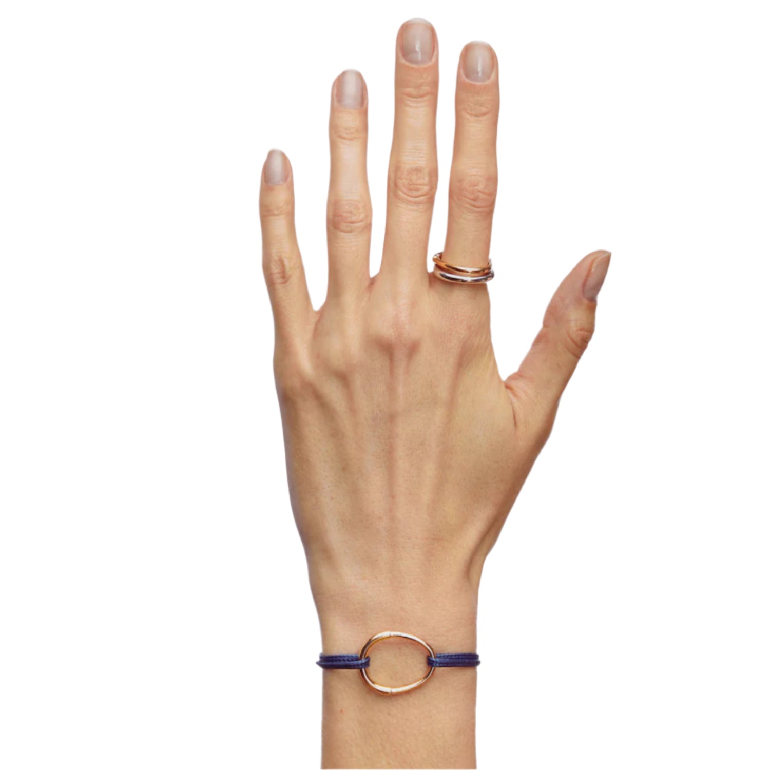 YW Riviera Chasing Band - MUSE Shop