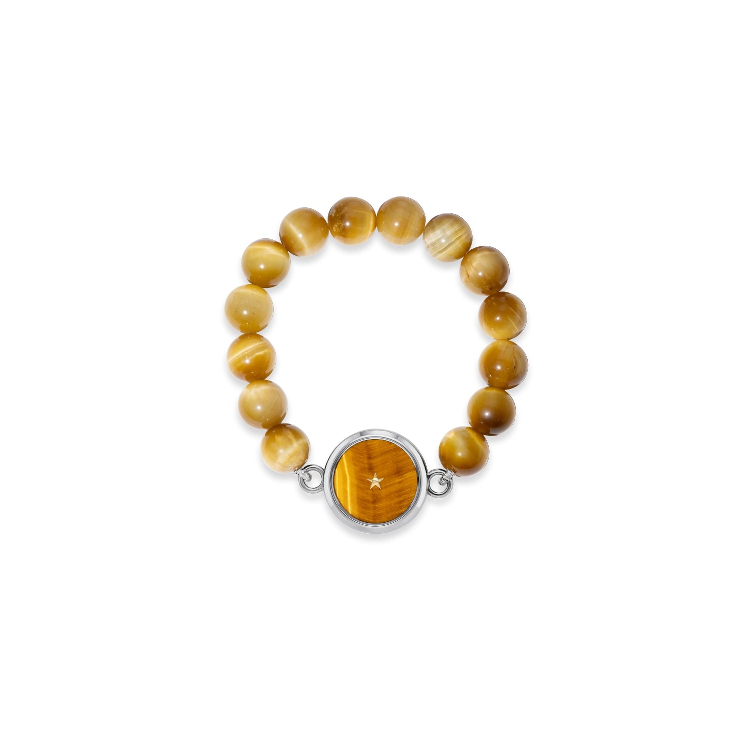 Tiger's Eye Carpe Diem Beaded Bracelet in Titanium