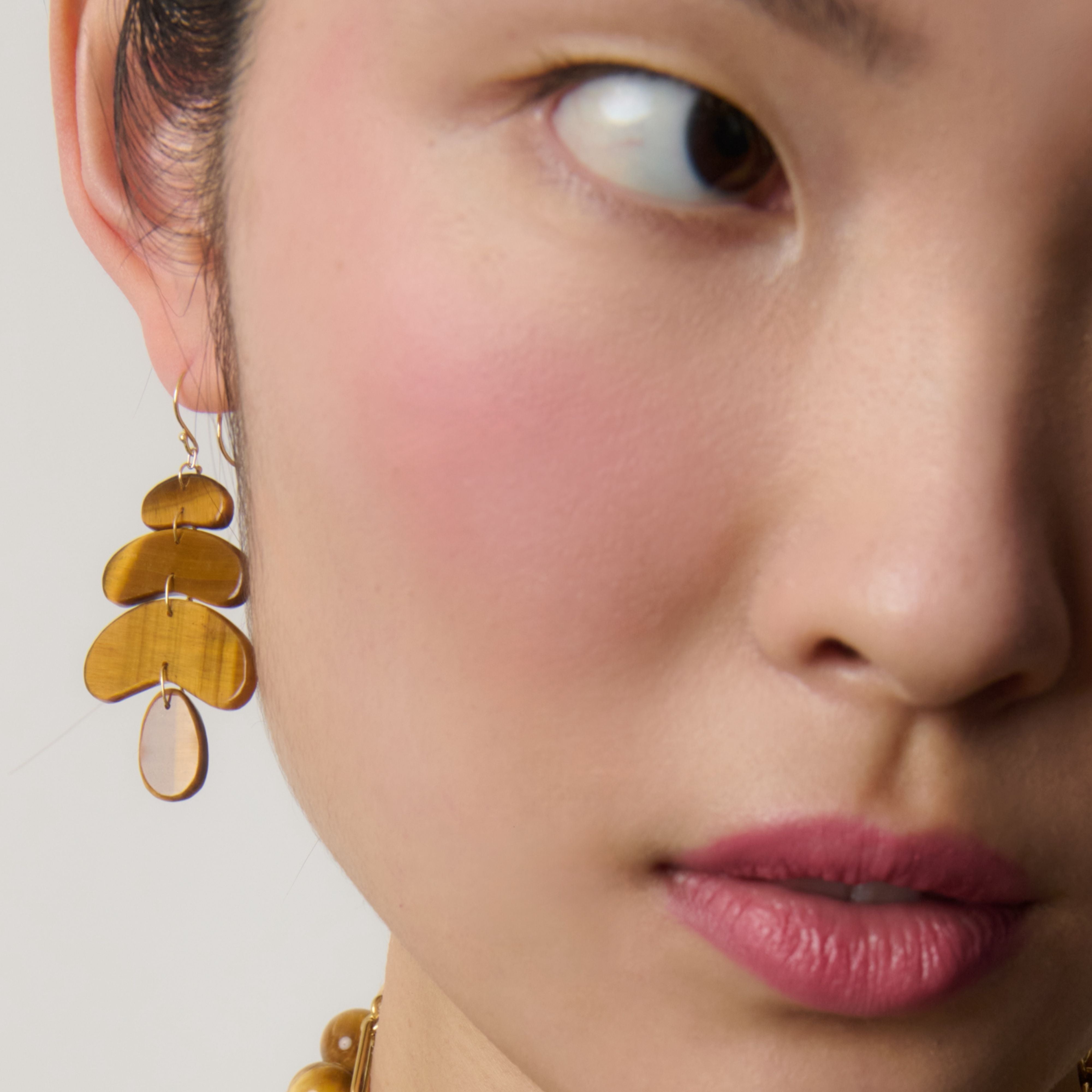 Small Flat Totem Earring with Tiger's Eye
